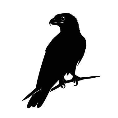 Honey Buzzard silhouette,Modern Black and White Silhouette Flat Icon. clipart