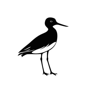 Grafikler için Sandpiper silueti, Tek Renk Vektör Silueti.