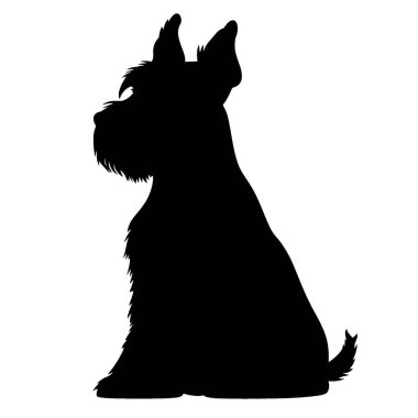 Kerry Blue Terrier silueti, Temiz Siyah ve Beyaz Vektör Siluet Sanatı.