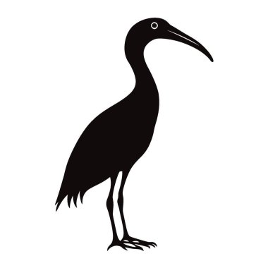 Ibis silhouette,Elegant Black and White Silhouette Flat Icon. clipart