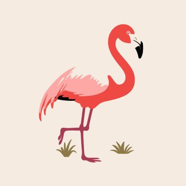 Flamingo Düz Vektör Sanat Kuşu, Vahşi Yaşam, Pembe, Tropik, Simge.