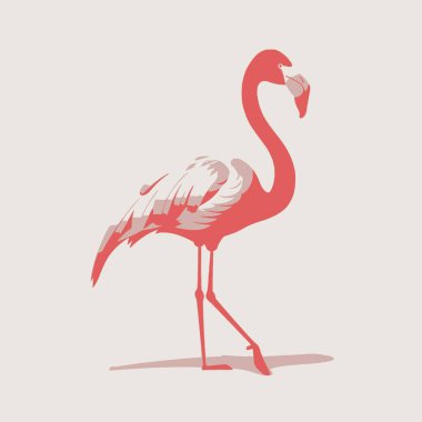 Flamingo Düz Vektör Sanat Kuşu, Vahşi Yaşam, Pembe, Tropik, Simge.