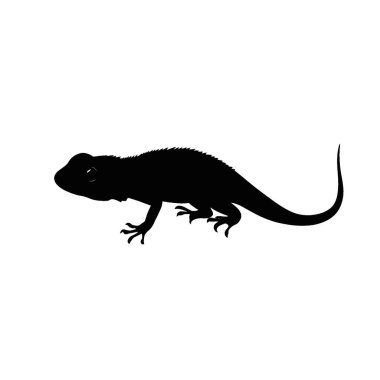 Brookesia Micra silhouette,Stylish Black and White Icon Flat Vector Design. clipart