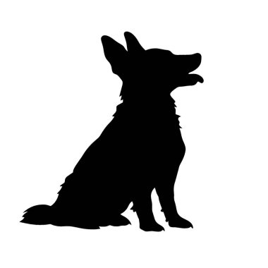 Labraheeler silueti, Zarif Siyah ve Beyaz Siluet Düz Simge.