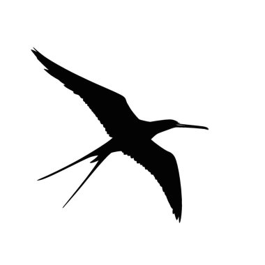Frigatebird silueti, Modern Siyah ve Beyaz Siluet Düz Simge.