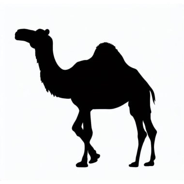 Vector Silhouette of Camel, Resilient Camel Graphic for Desert and Wildlife Designs clipart