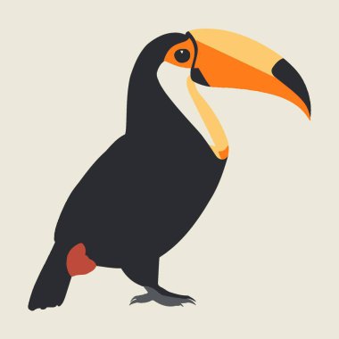 Toucan Vektör Sanatı Basit Şekil Vectorin Düz Arkaplan.