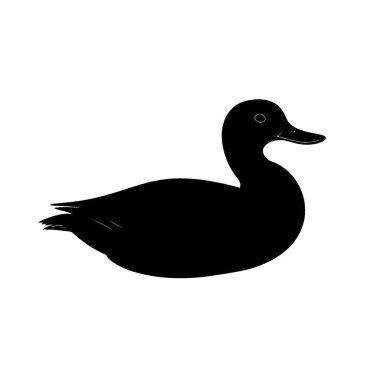 Gadwall silueti, Tarz Siyah ve Beyaz Simge Düz Vektör Tasarımı.