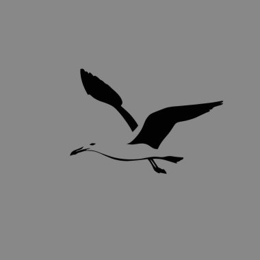 Gull silhouette,Stylish Black and White Icon Flat Vector Design. clipart