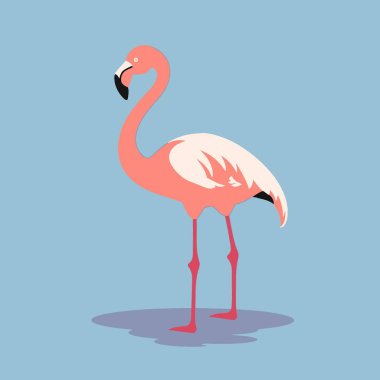 Flamingo Flat Vector Art Bird, Wildlife, Pink, Tropical, Icon. clipart