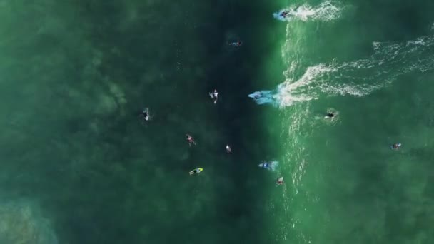 Vista Aérea Surfista Océano Atrapado Una Gran Ola Agua Turquesa — Vídeos de Stock