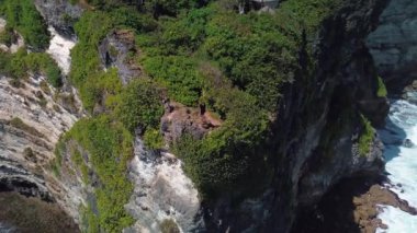 Kuşların bakış açısından, uçurumun kenarındaki genç bir kadın okyanusa bakar. Sörfçü yaşam tarzı, dalgaları izlemek, tehlikeli konum ve aşırı. Okyanustan güzel bir uçurum manzarası.
