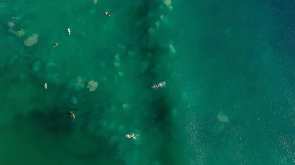 Вид Воздуха Серферов Ждущих Волн Линейке Сёрферы Отдыхают Бирюзовом Океане — стоковое фото