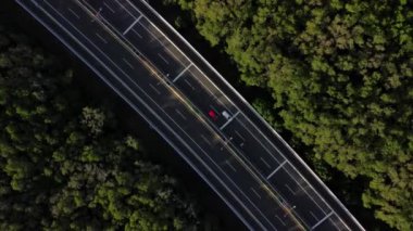 Mangrov ormanlarından geçen yolun üst görüntüsü. Hangi arabaların hareket ettiği yol. Yol yeşilliklerle dolu. Gün batımında, sıcak ışıklar ve ağaçların gölgeleri otoyola düşer..