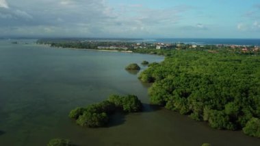 Bali 'deki Benoa Körfezi' nin havadan görüntüsü. Hint Okyanusu 'nun körfezindeki Mangrove Ormanı. Manzaralı şehir ve okyanus manzaralı. Bir İHA 'dan ateş etmek, yarımadada güzel bir uçuş.. 