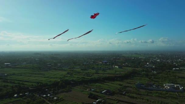 Een Prachtige Traditionele Vlieger Met Een Lange Staart Tegen Blauwe — Stockvideo