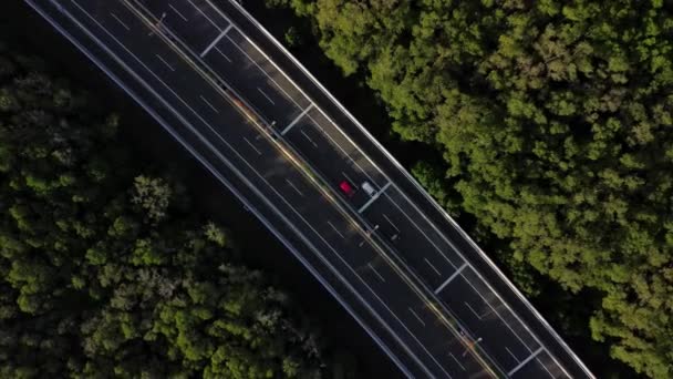 Vue de dessus de la route qui traverse les forêts de mangroves. Autoroute sur laquelle les voitures se déplacent. La route est pleine de verdure. L'heure du coucher du soleil éclairage chaud et les ombres des arbres tombent sur l'autoroute.