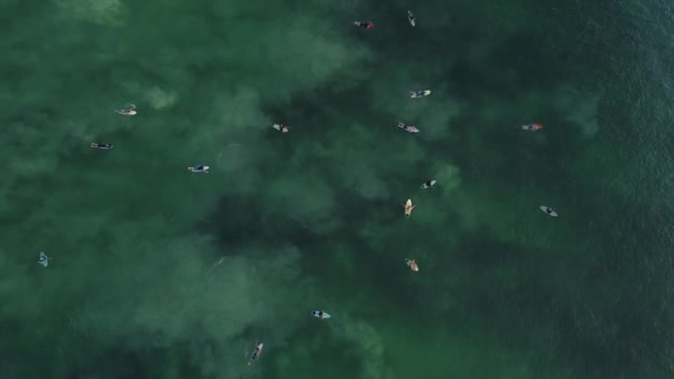 ラインナップで波を待っているサーファーの空中ビュー サーファーはターコイズの海で休む エクストリームスポーツ 上からの最高の景色 — ストック動画