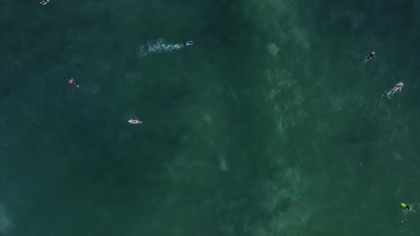 Uma Jovem Biquíni Homem Estão Surfando Oceano Recreação Ativa Surfe — Vídeo de Stock