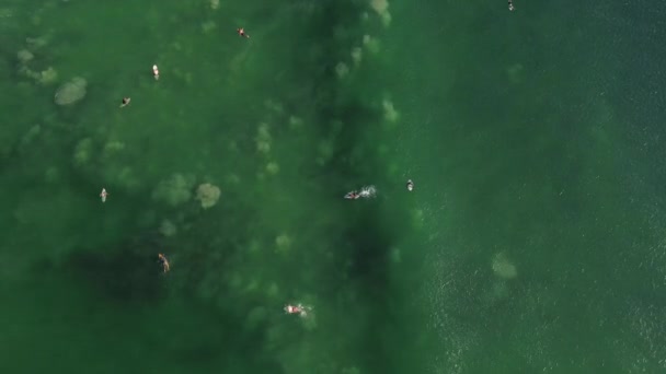インド洋の波を征服するカジュアルサーファーのトップビュー ターコイズの海の波 フリーライフスタイルと極端なスポーツの概念 高品質の4K映像 — ストック動画