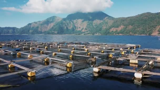 养鱼场上的建筑 生产中的正方形鱼笼 湖上的一个养鱼场 山上有淡水 无人机从上到下的飞行 — 图库视频影像