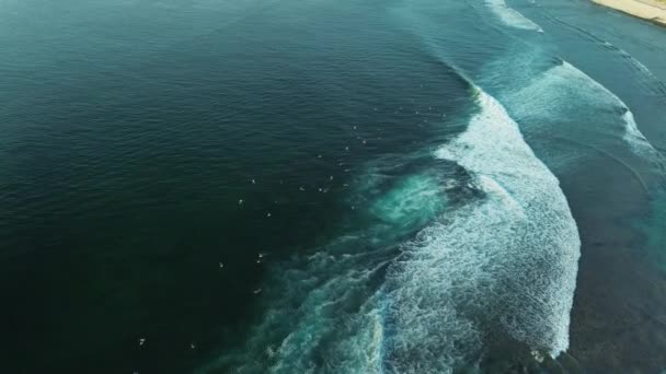 Letecký Pohled Surfaře Čekající Vlny Lineup Tyrkysovém Oceánu Vlny Narážející — Stock video