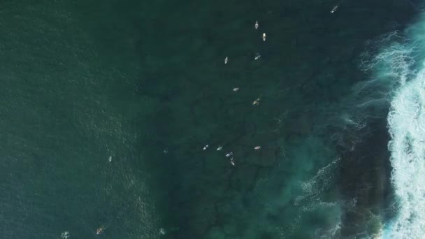 巴厘岛的印度洋冲浪者自上而下的拍摄 极限运动 冲浪生活方式 尝试捕捉海浪在海洋中 专业的冲浪者 高质量的4K镜头 — 图库视频影像