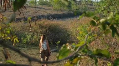 Genç bir kadın Golden Retriever köpeğini sırtından görüyor. En iyi arkadaş köpekle yürü, arkadaş canlısı ve meraklı. Parkta köpek gezdiriyorum. Gün batımında yürü.