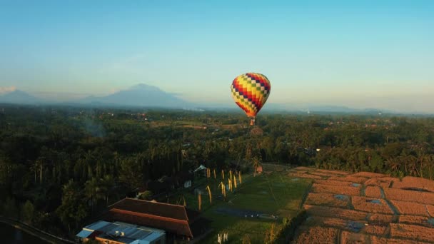 田んぼの上を飛ぶカラフルな熱気球の空中観察 バリ火山の熱気球の背景に対して 日没時の熱気球の風景 — ストック動画