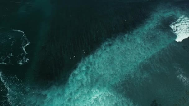 オープンオーシャンのサーファーは インドネシアのバリのグリーンボウルビーチ近くの波を待っています プロのサーファーは 最も人気のある観光地の島で波をキャッチします ドローンからの鳥の視界 — ストック動画