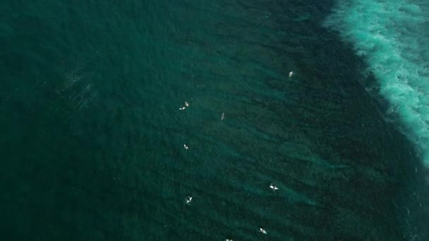 バリ島のサーフスポットの1つでラインナップで腫れを待っているサーファーのグループの空中ビュー インド洋でのサーフィン 極端なライフスタイルと旅行 — ストック動画