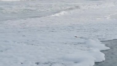 Palmiye ağacından düşen bir hindistan cevizi okyanus kıyısında siyah bir kumsalda uzanır ve bir dalga tarafından savrulur. İnsansız siyah bir kumsal, güçlü bir dalga ve kıyıda hindistan cevizi.