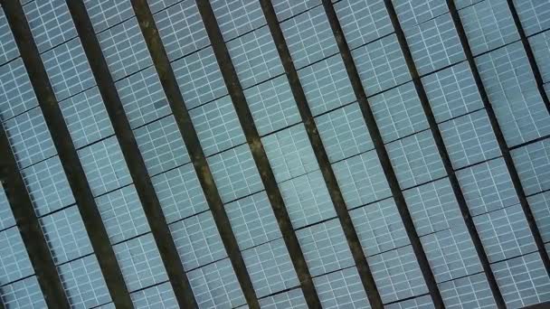 Imágenes Arriba Hacia Abajo Líneas Rectas Paneles Solares Cuidar Medio — Vídeos de Stock