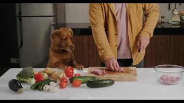Günlük giysiler içinde genç bir adam mutfakta et hazırlıyor, yakınlarda bir köpek duruyor ve pişirme sürecini ilgiyle izliyor. Golden Retriever cinsinden bir köpek masadaki yemeği izliyor..