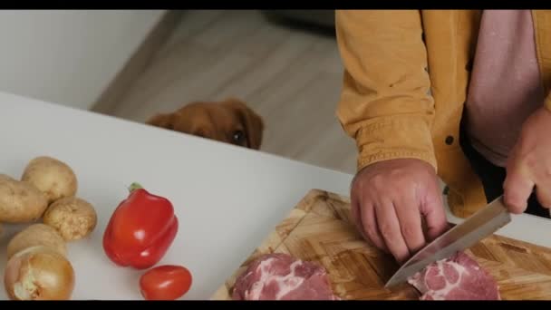 犬はテーブルの下から外に出て 飼い主から食べ物を求めます 男は生の肉を切り取って それを犬に与える 生の犬の食べ物とペットの世話 ペットとキッチンで自宅で料理する — ストック動画