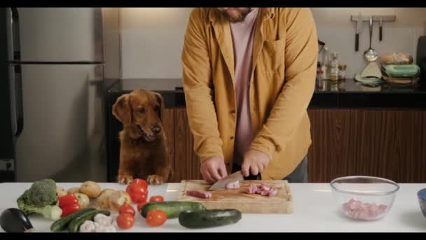 Ένα Σκυλί Βοηθά Τον Ιδιοκτήτη Του Ετοιμάσει Φαγητό Στην Κουζίνα — Αρχείο Βίντεο