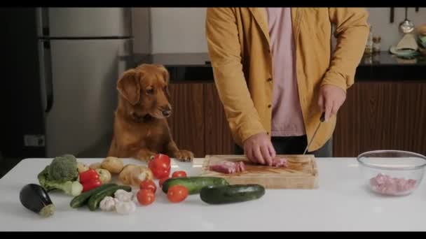 カジュアルな服を着た若者がキッチンで肉を準備し 犬が近くに立って料理のプロセスを興味を持って見ています ゴールデンレトリーバーの犬は テーブル上の食べ物を見ます — ストック動画