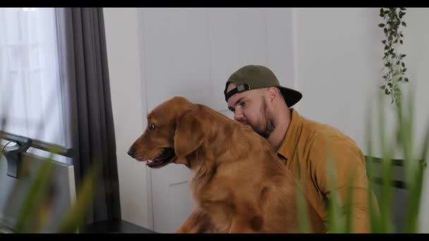 若い男性は仕事仲間とビデオ通話をして 彼のペット ゴールデンレトリーバーの犬を見せます 犬はコンピューターのモニターを見て ビデオ通話で微笑みます — ストック動画