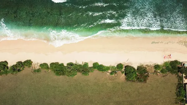 Luftaufnahme Einer Familie Mit Hund Die Strand Entlang Meer Spaziert — Stockfoto