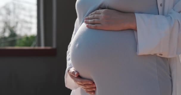 Hamile Bir Kadının Karnının Yandan Görünüşü Içindeki Bebek Itiyor Sağlıklı — Stok video