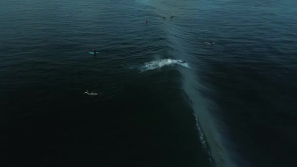 Des Images Vidéo Dynamiques Drone Pourchassant Surfeur Sur Une Vague — Video