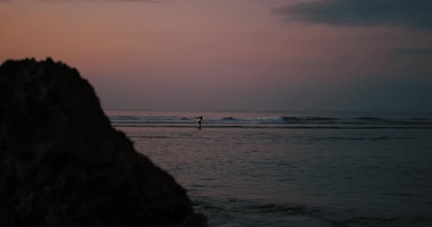 Sörfçü Gün Batımında Elinde Sörf Tahtasıyla Okyanustan Gelir Gökyüzü Pembedir — Stok video