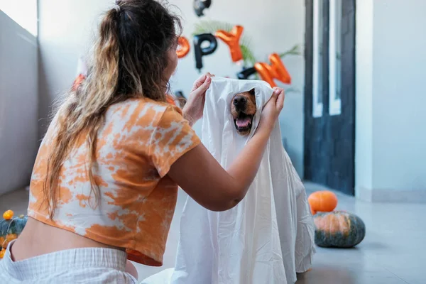 Förbereder För Halloweenfirandet Ung Kvinna Klär Sin Hund Spökdräkt Roliga — Stockfoto