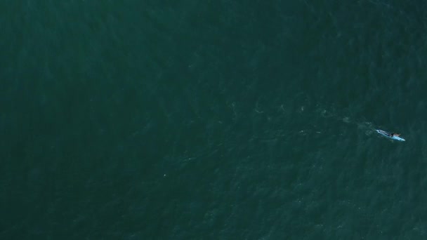 Supボードの上に立って海を横切って漕いでいる男性の空中視界 アクティブなスポーツとレクリエーション 海岸近くの海に搭乗するSup Supボードの波のない穏やかな水 — ストック動画