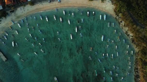 巴厘岛帕当白港自上而下的景象 许多小船停泊在海湾沿岸 潜水游览船和离岸渔船 码头船只航行的港口中的码头 — 图库视频影像