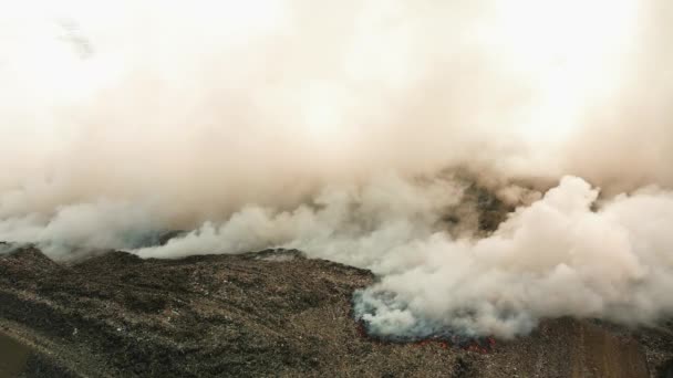 매립지 플라스틱 폐기물 연소에서 재앙의 화재의 연기는 하늘로 상승하고 공기를 — 비디오