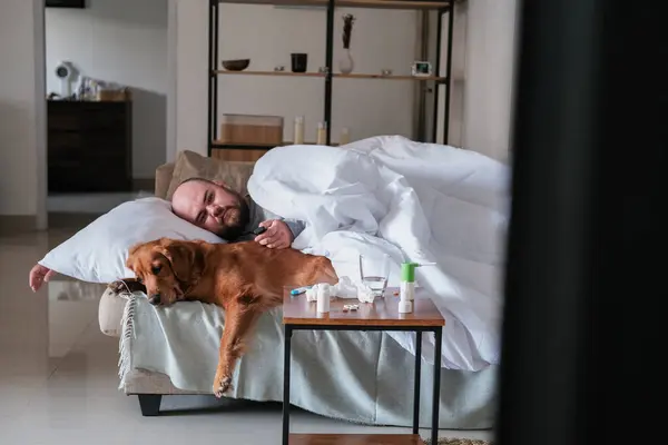A man with a cold on sick leave lies on the sofa and watches TV with his golden retriever dog. Cold and flu season. Treatment during illness and rest at home.