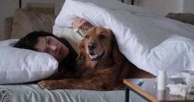 Soğuk algınlığı olan bir kadın hasta yatağında köpeğinin yanında yatar ve onu okşar. Kadın hapşırması, burun tıkanıklığı ve soğuk algınlığı. Soğuk algınlığı ilaçları ve haplarla tedavi.