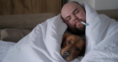 Hasta bir adam ve onun golden retriever köpeği battaniyeye sarılıp yatıyorlar ve sıcaklıklarını elektronik termometreyle ölçüyorlar. Grip sırasında yüksek ateş ve ateş. Soğuk mevsim, tedavi.
