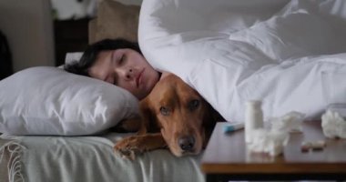 Soğuk algınlığı olan genç bir kadın oturma odasındaki kanepede Golden Retriever köpeğiyle yatıyor. Ön planda komodinin üzerinde haplar ve soğuk algınlığı ilaçları var. Destek köpeği, soğuk mevsim.